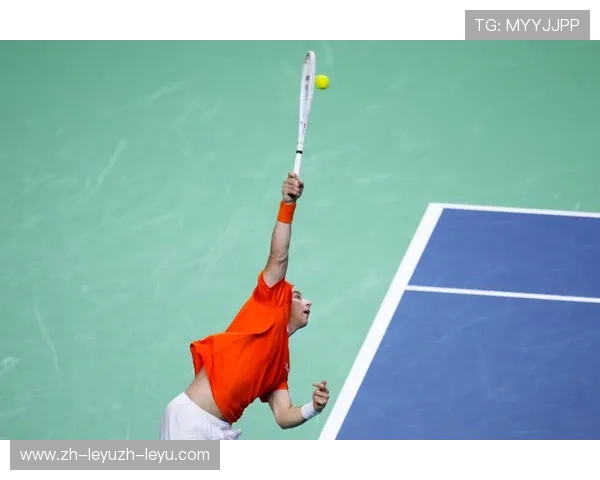 羽毛球扣杀制动 羽毛球扣杀制动