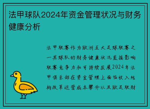 法甲球队2024年资金管理状况与财务健康分析